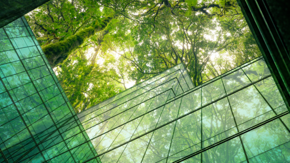 Webinar: Mastering CBAM - From complexity to efficient & confident execution