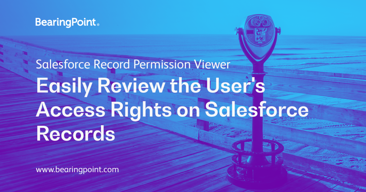 Review the User's Access Rights on Salesforce Records BearingPoint Record Permission Viewer