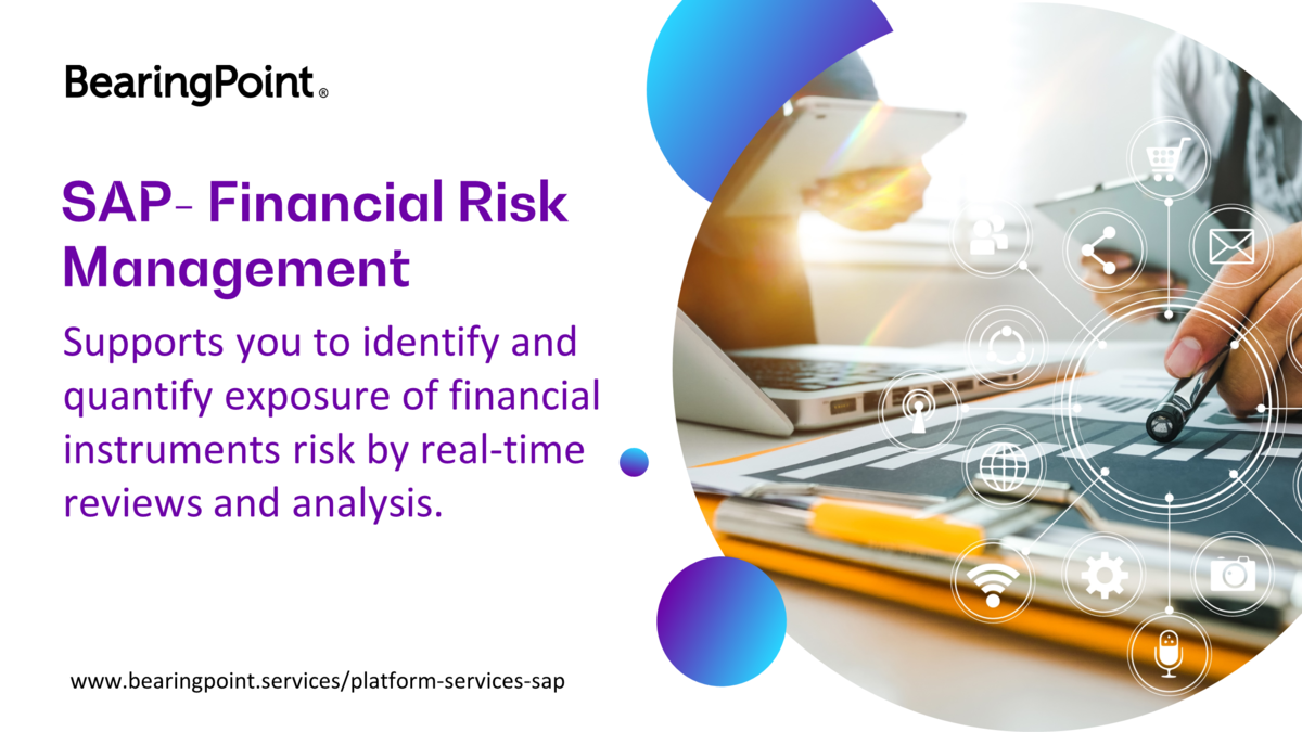 Bearingpoint Sap Solutions: Manage Financial Risks 