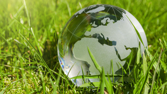 CBAM 2026 Compliance Guide