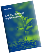 Free PDF download: SAP implementation portfolio