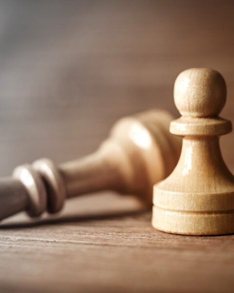 Comment un distributeur B2B a-t-il adapté sa stratégie tarifaire pour se démarquer sur un marché secoué par l'arrivée de nouveaux acteurs et une inflation galopante ? ​