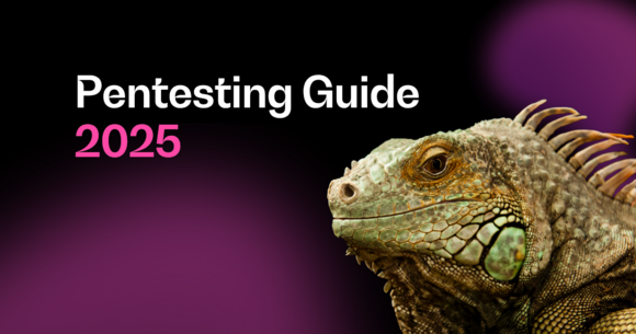 Pentesting Guide 2025: Anforderungen & Best Practices