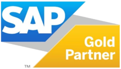SAP Partner